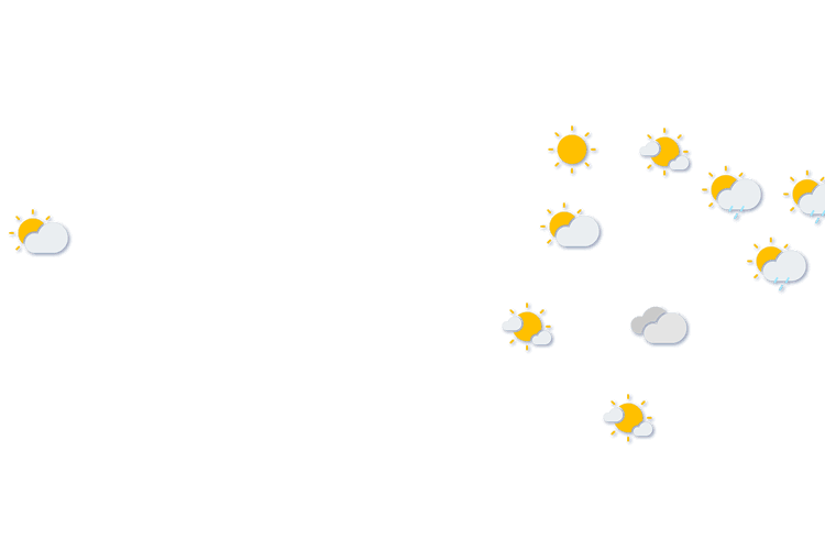 Forecast