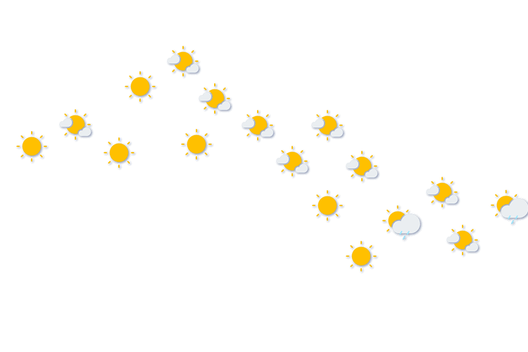 Forecast