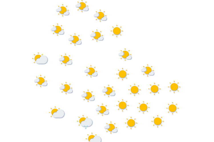 Forecast
