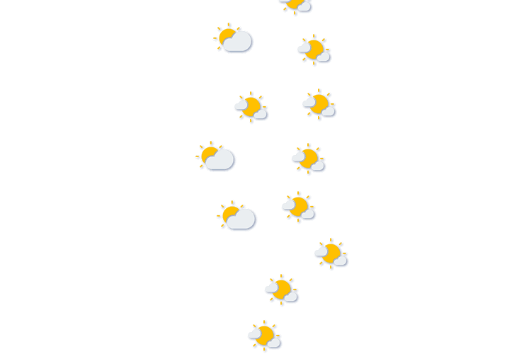 Forecast