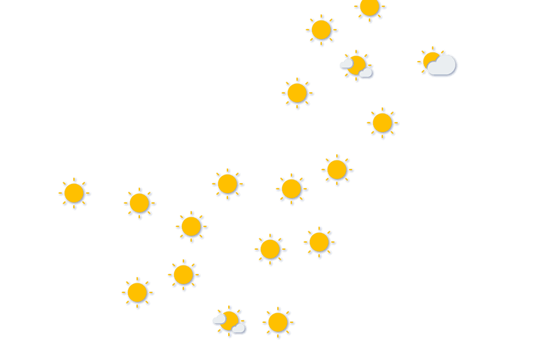 Forecast