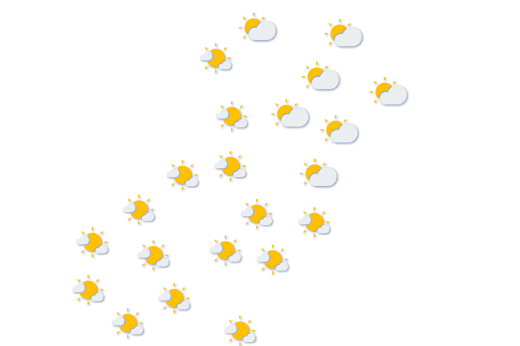 Forecast