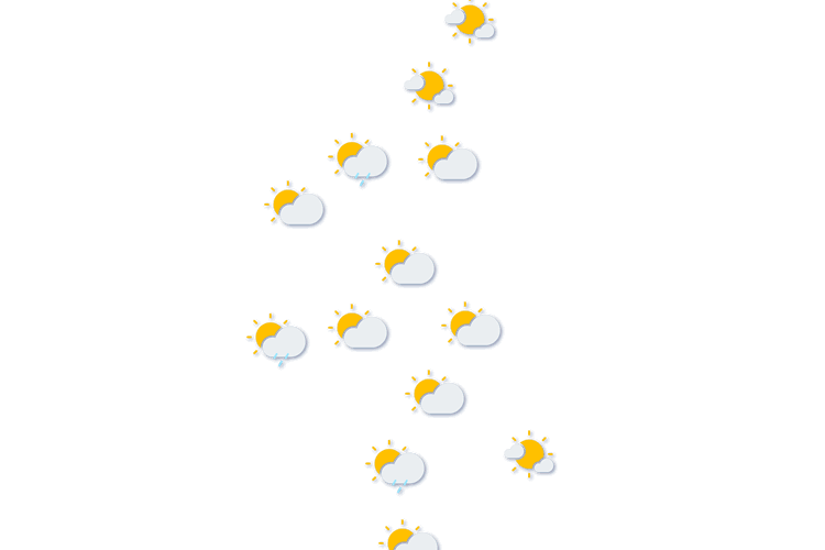 Forecast