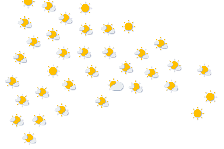 Forecast