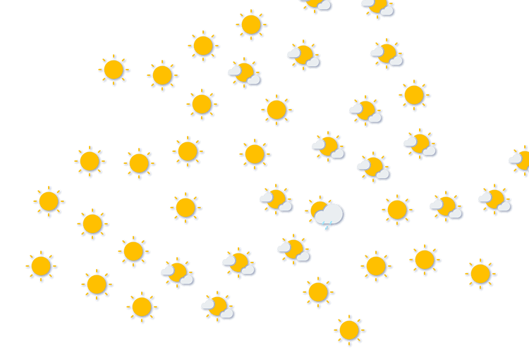 Forecast
