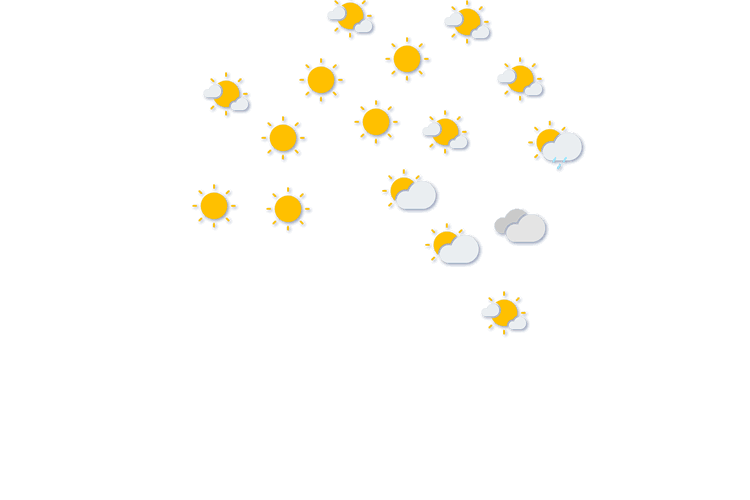 Forecast