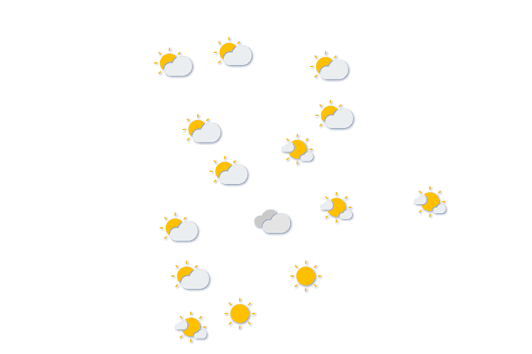 Forecast