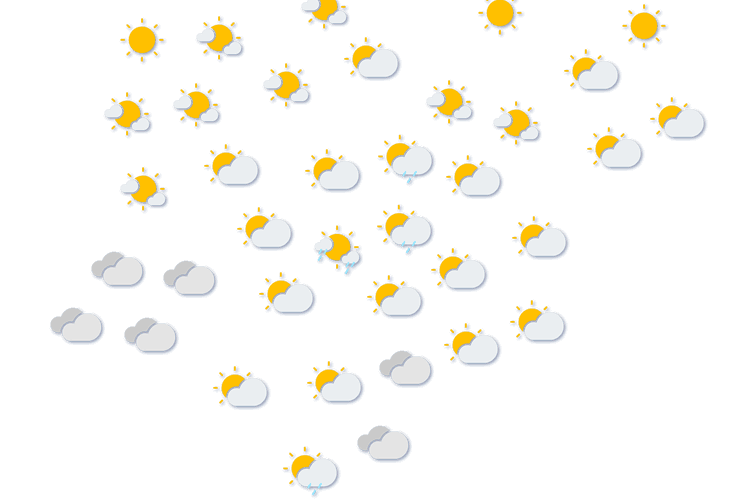 Forecast