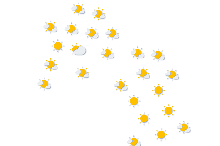 Forecast