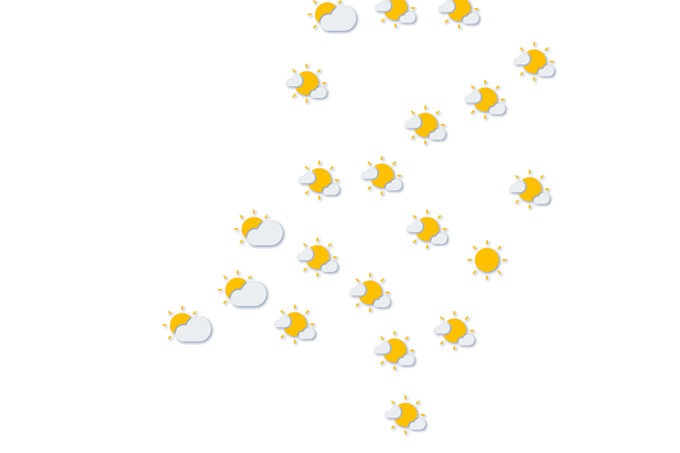 Forecast