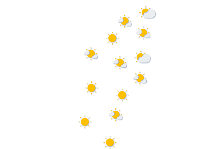 Forecast