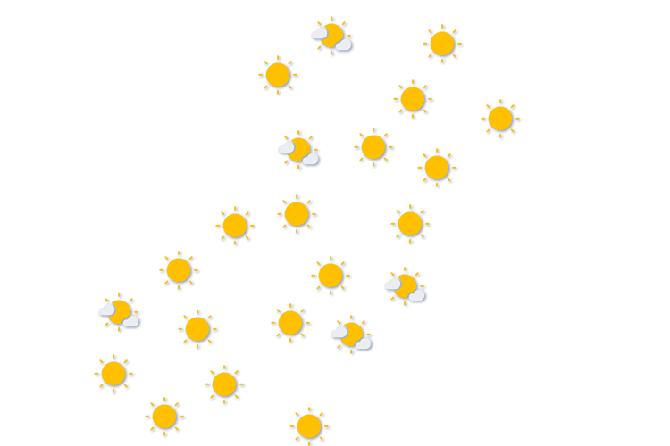 Forecast