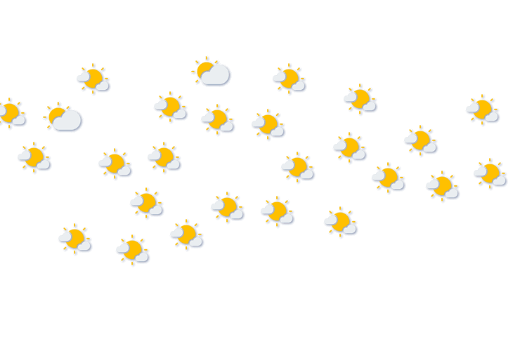 Forecast