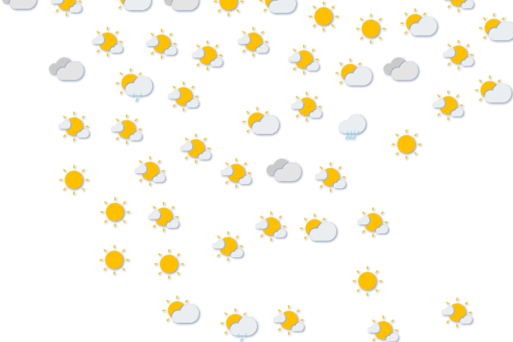 Forecast