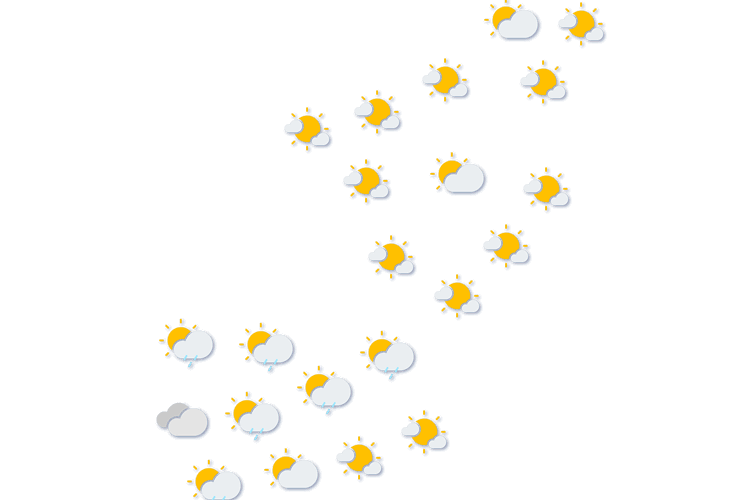 Forecast