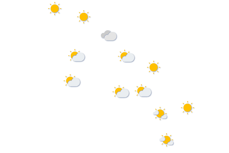 Forecast
