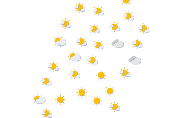 Forecast