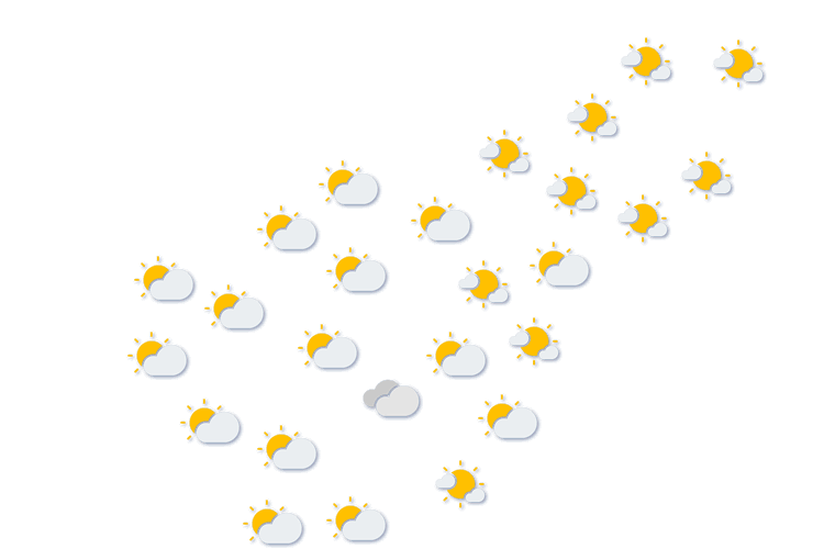Forecast