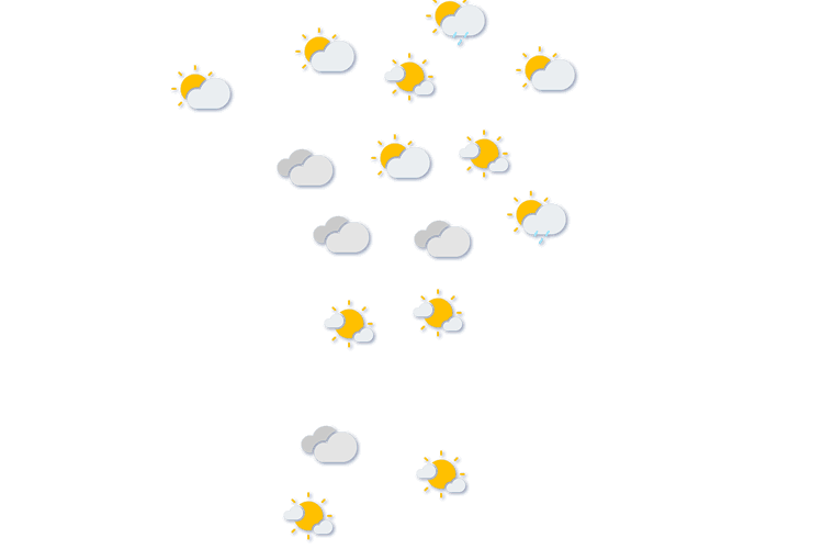 Forecast
