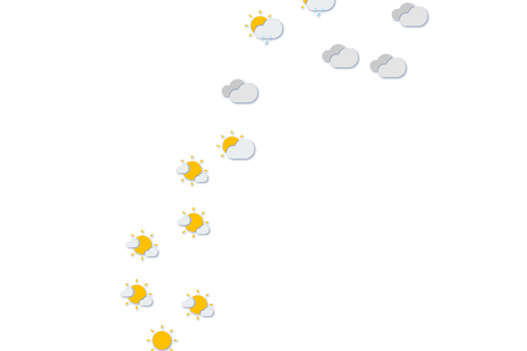 Forecast