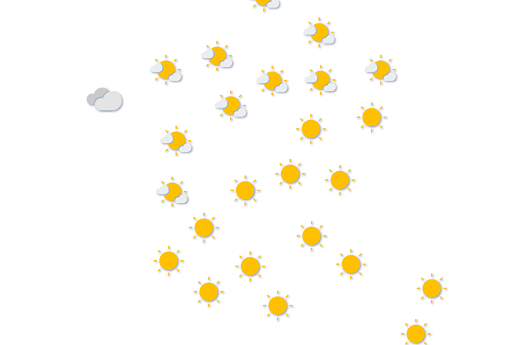 Forecast