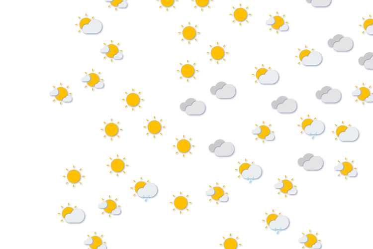 Forecast