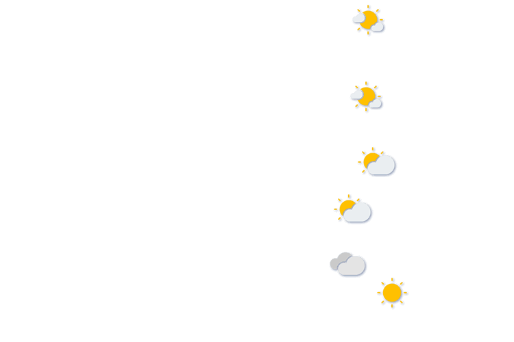 Forecast