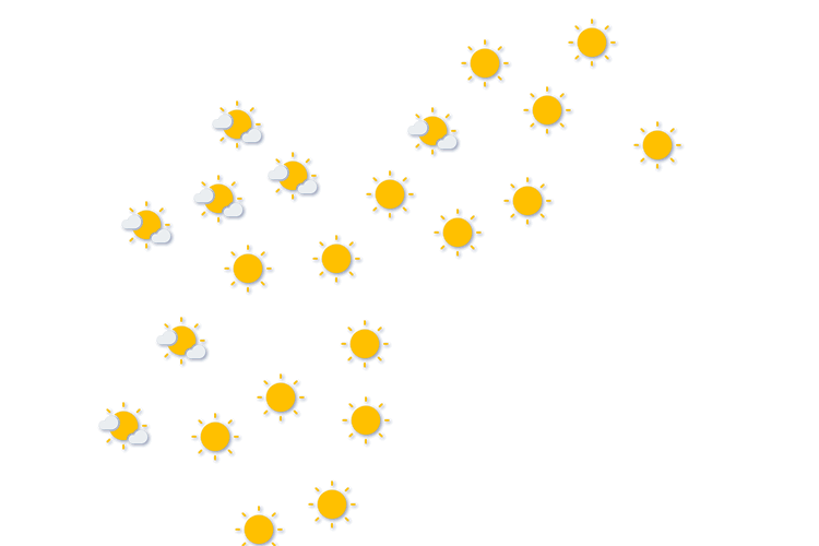 Forecast
