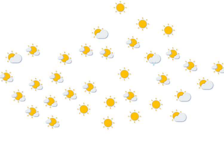 Forecast