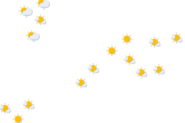 Forecast