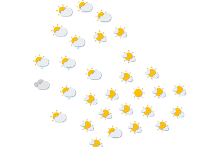 Forecast
