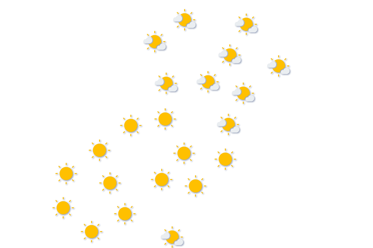 Forecast