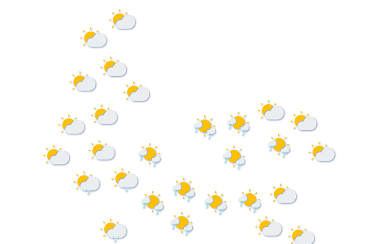 Forecast