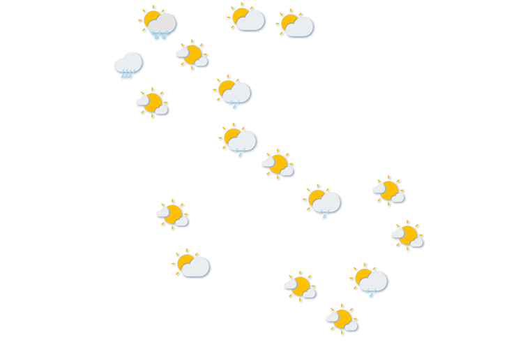 Forecast
