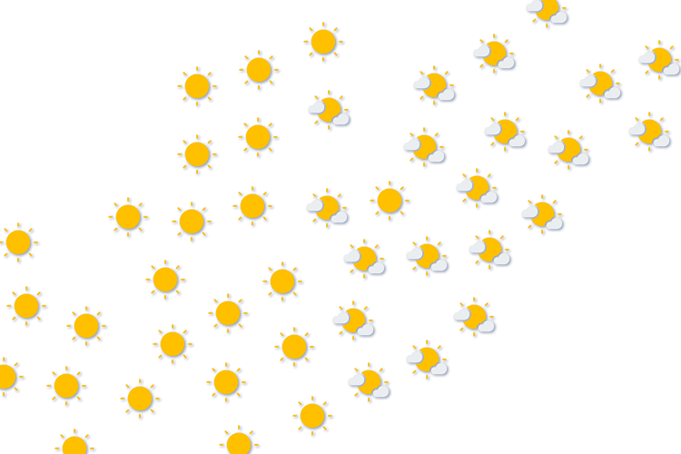 Forecast