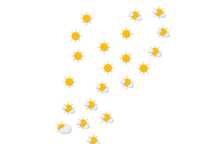 Forecast