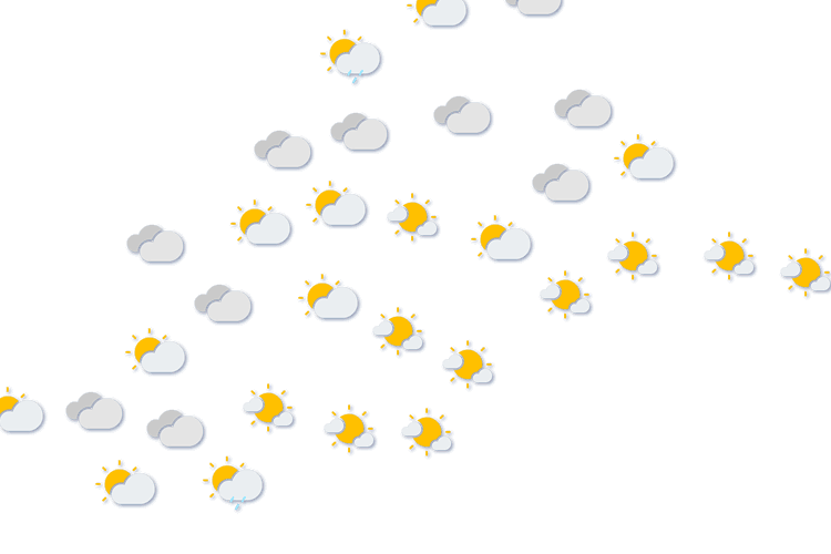 Forecast