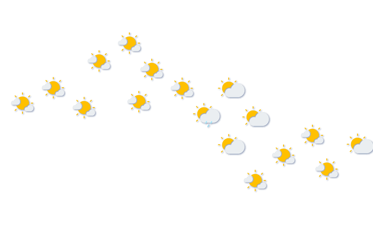 Forecast