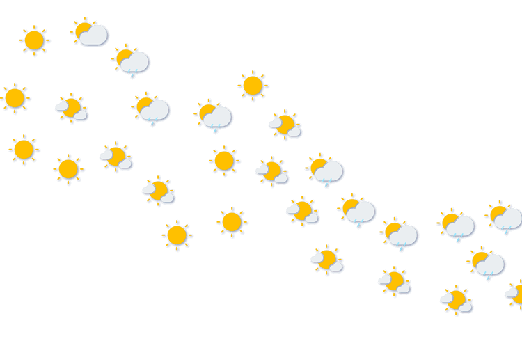 Forecast