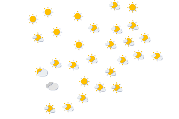 Forecast