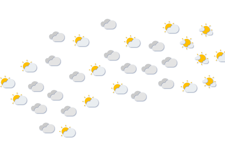 Forecast