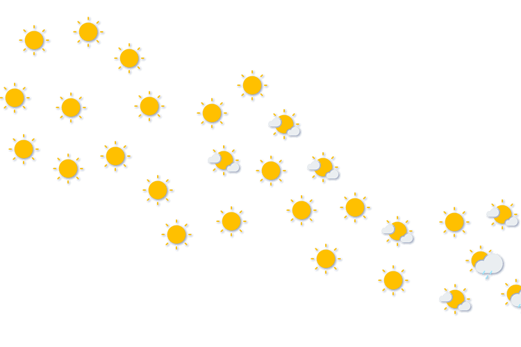 Forecast