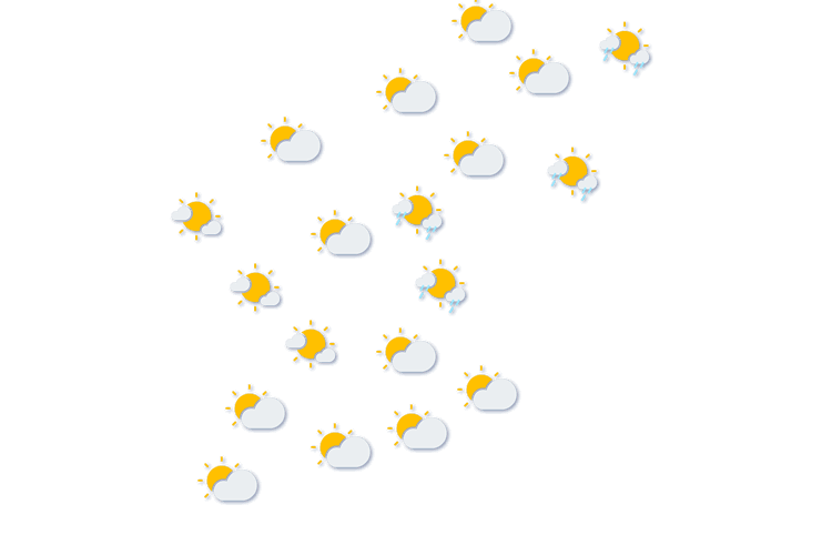 Forecast