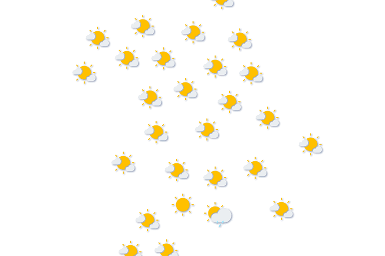 Forecast