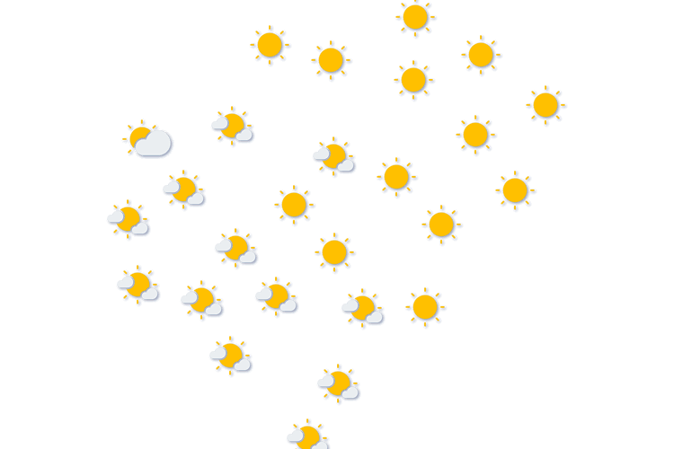 Forecast