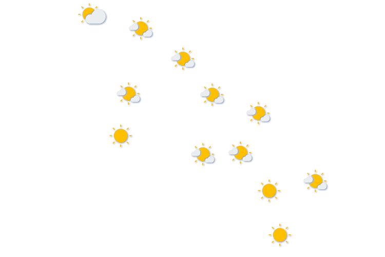 Forecast
