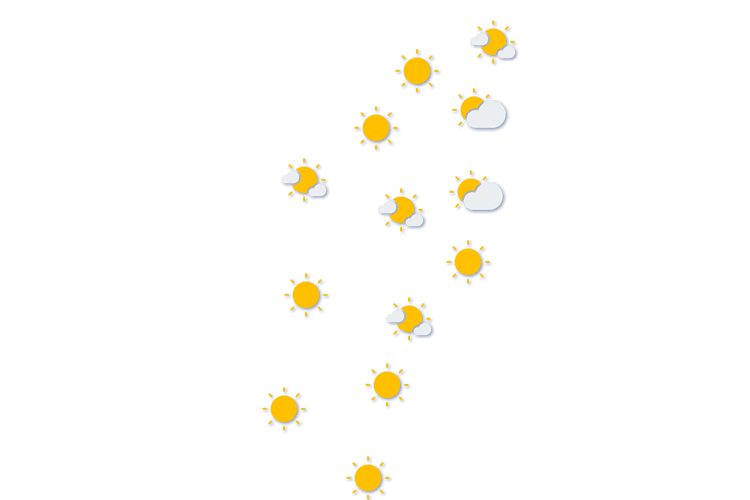Forecast