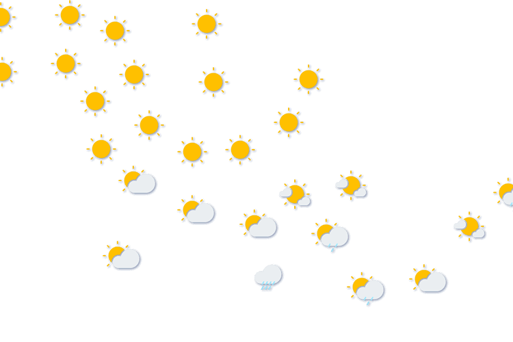Forecast