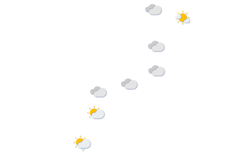 Forecast