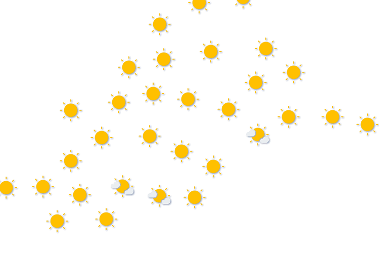 Forecast